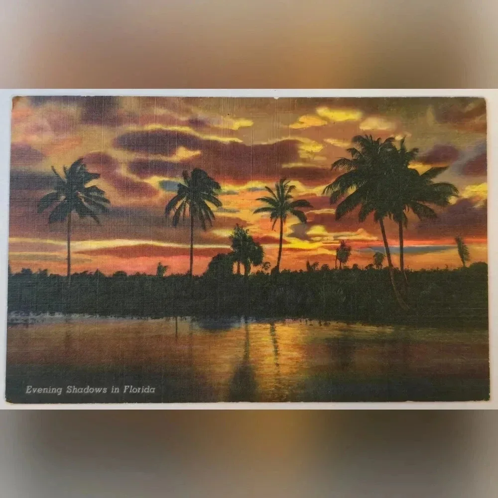 Lot of 3 Fabulous Vintage FLORIDA Postcards